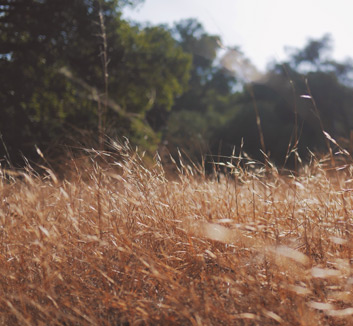 欧洲足球比赛再掀浪潮，胜者为王